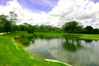 Tara Golf and Country Club real estate