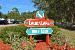 Calusa Lakes real estate